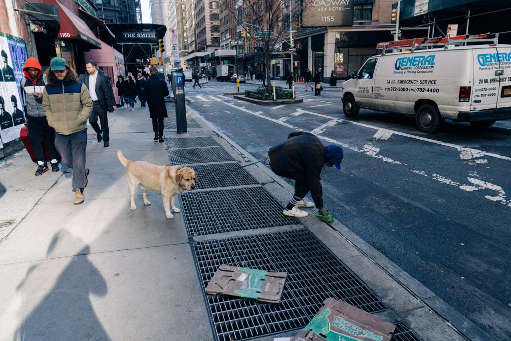 facet sprzątający kupę psa z chodnika